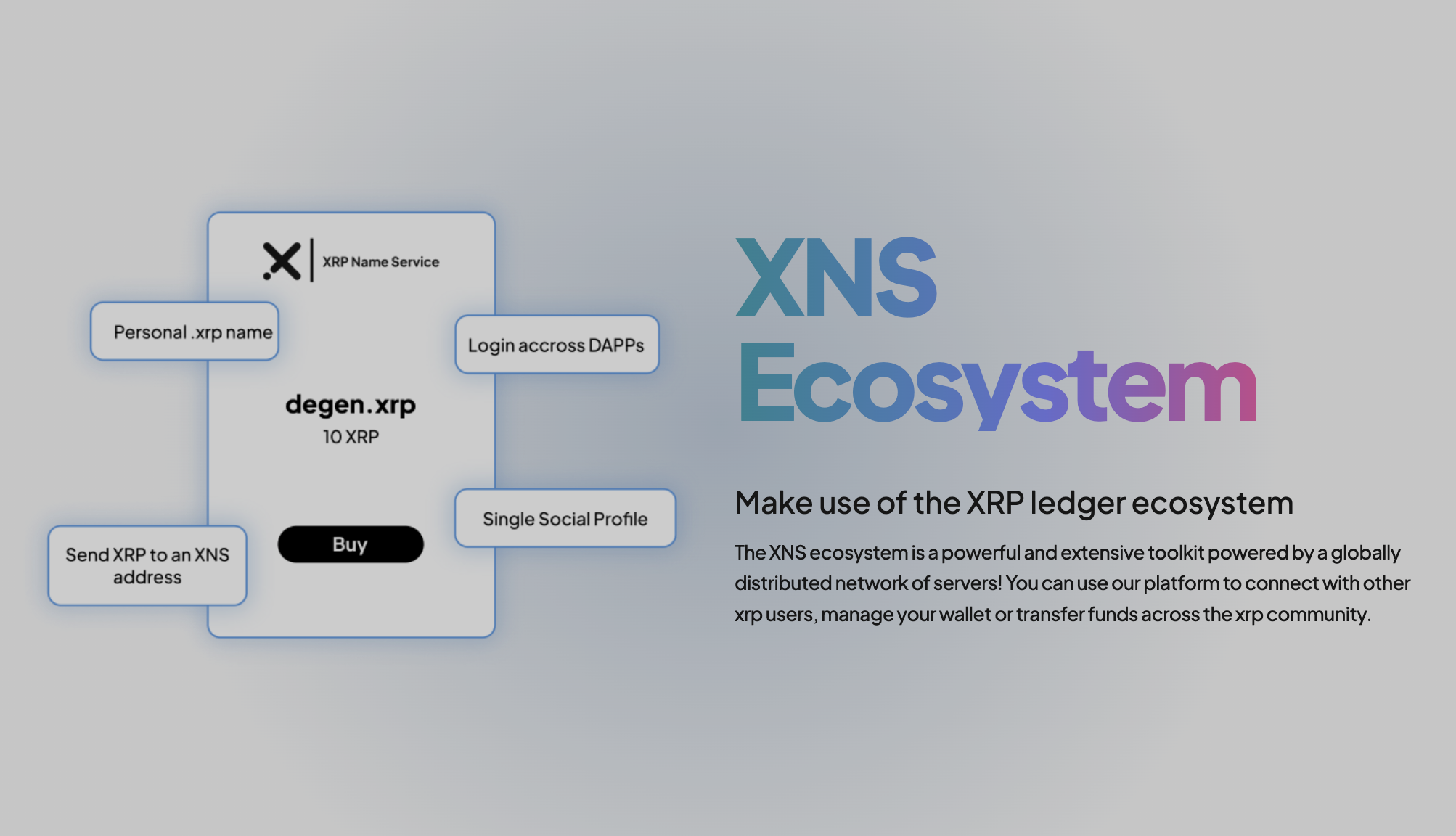 XRP Name Service image 9